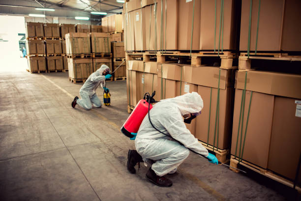 Best Cockroach Control Services  in West Melbourne, FL