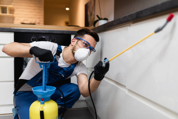 Best Exterminator Services  in West Melbourne, FL