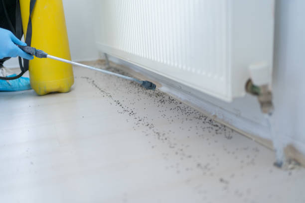Best Pest Prevention Services  in West Melbourne, FL