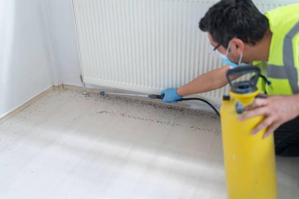 Best Affordable Pest Control Services  in West Melbourne, FL
